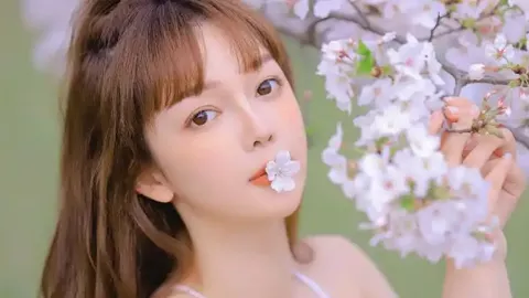 香港黑社会洗钱案