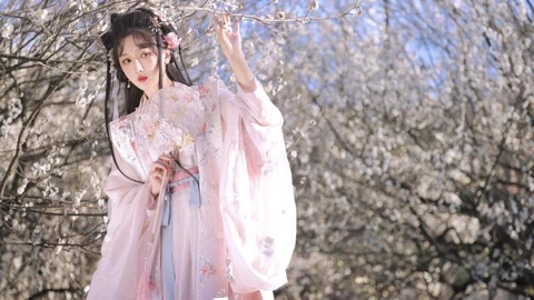 柬埔寨劫囚女子